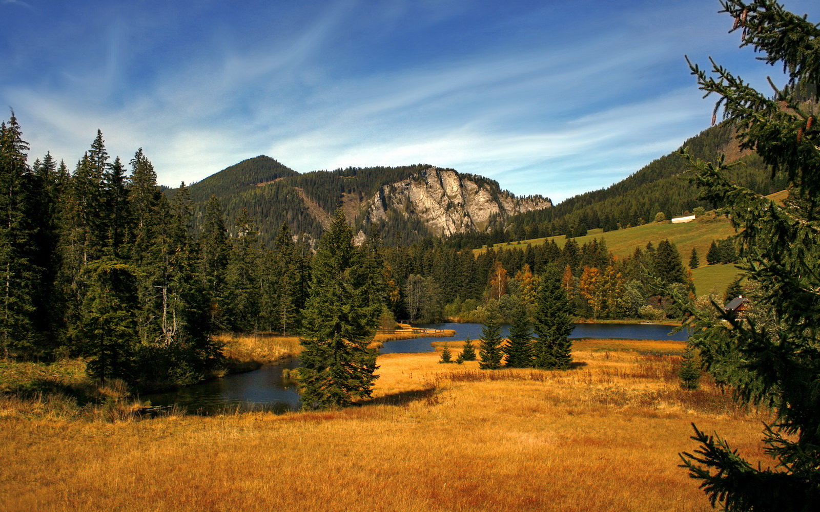 开云体育登录-汉密尔顿高光表现引领梅赛德斯惊天逆转阿斯顿马丁