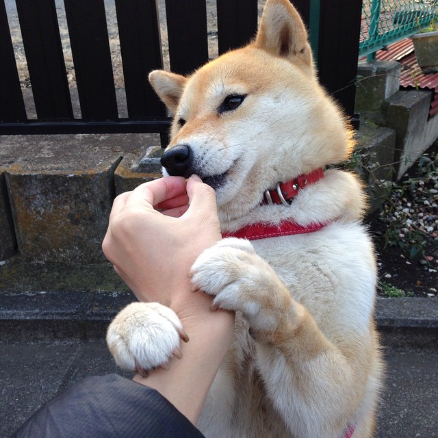 汉密尔顿高光表现引领梅赛德斯惊天逆转阿斯顿马丁