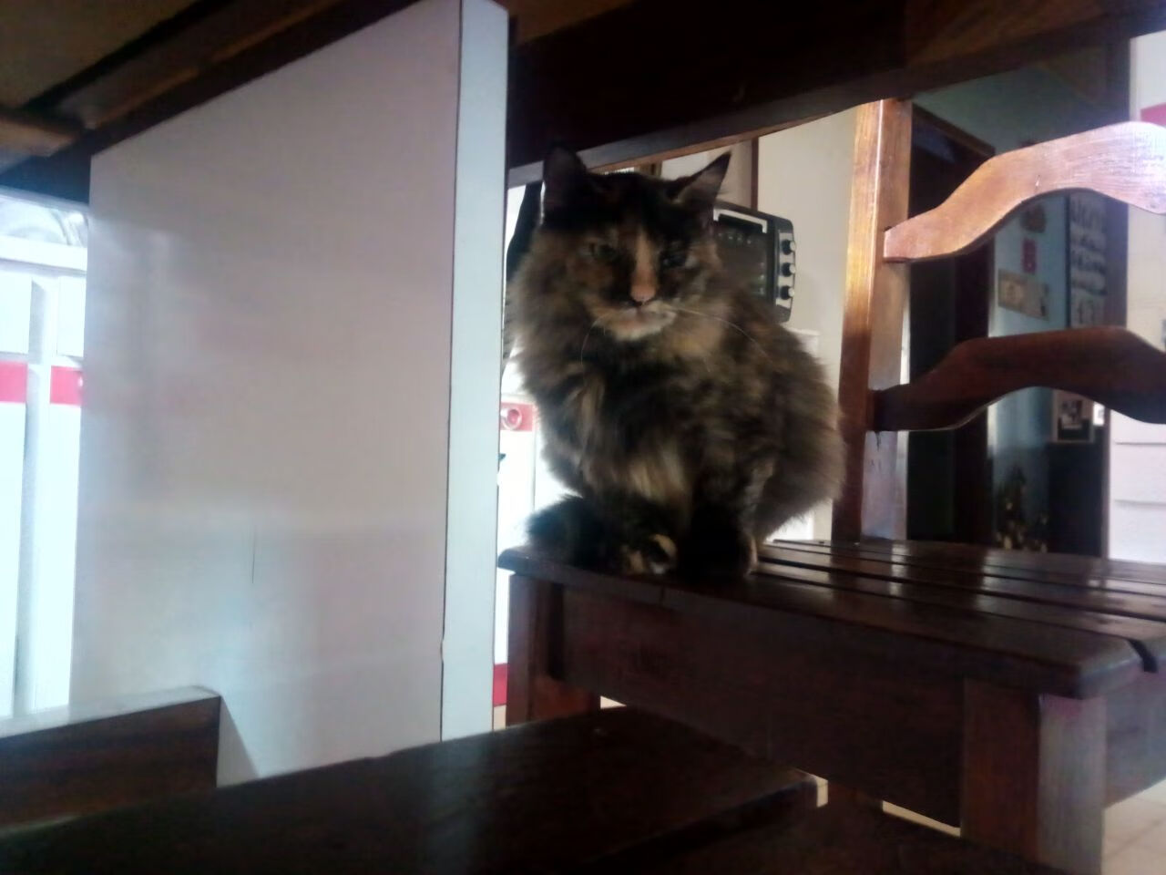 逆转与刷新，篮球世界的两极，却藏着一把钥匙