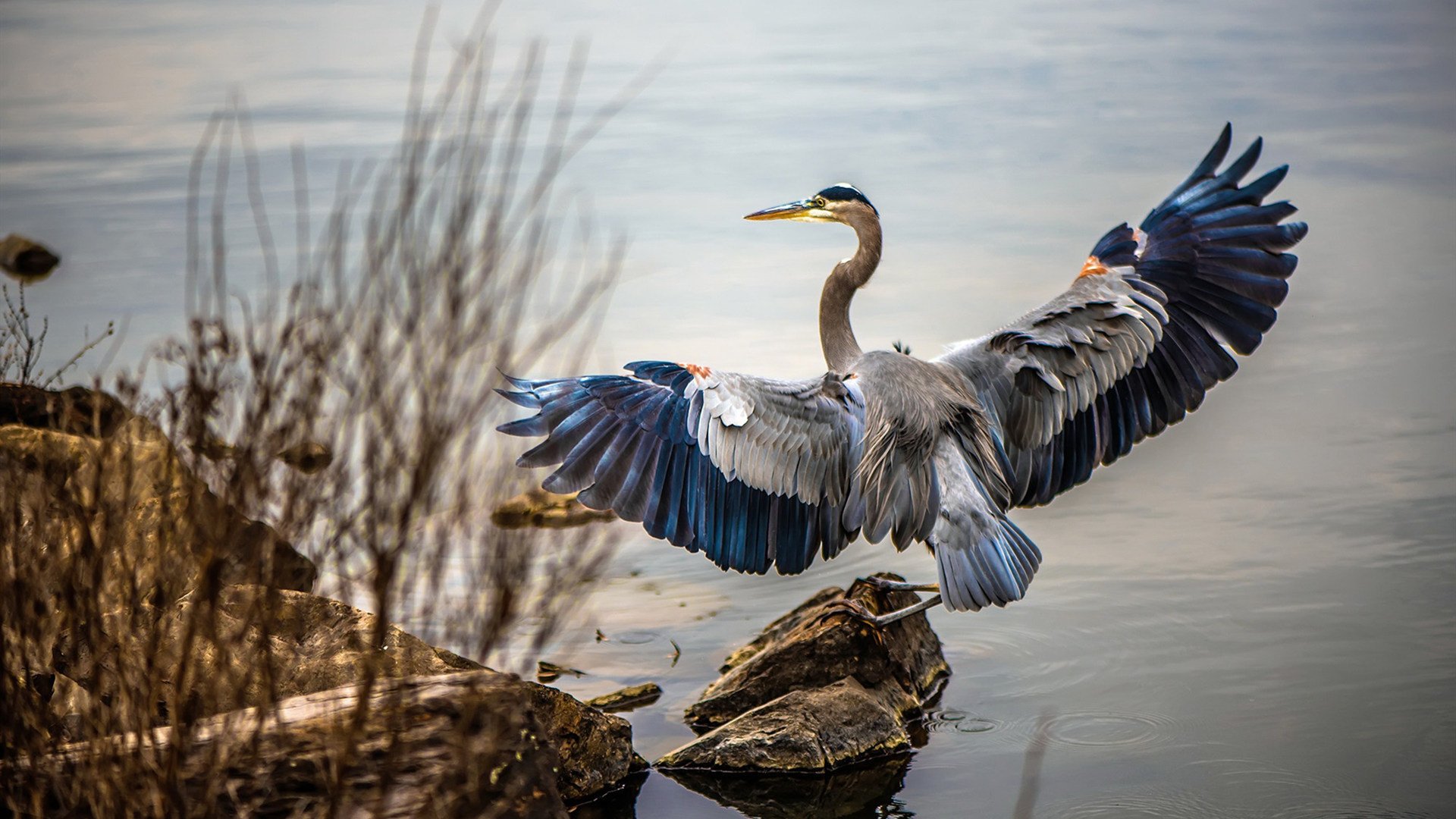 开云体育中国-涡轮战火，皮亚斯特里如何用无形引擎在红牛与马丁的绞杀中点燃赛场