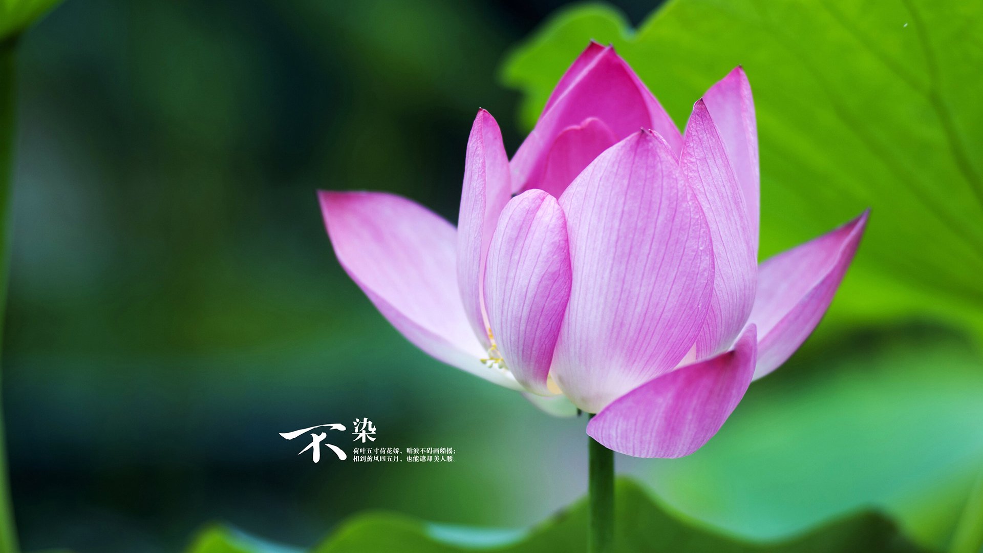 开云体育中国-独步天下，当战术碾压遇见艺术惊艳