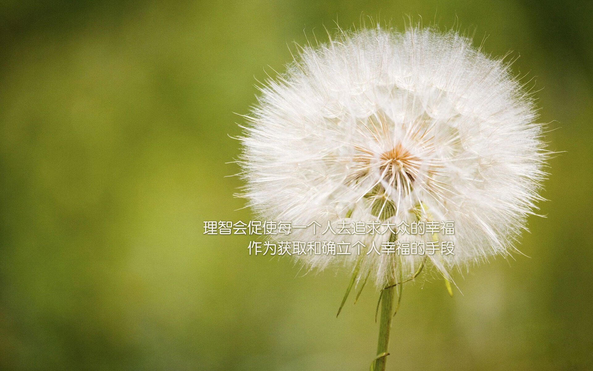 铁血超越,勒克莱尔赛道意志击碎雷诺铁幕