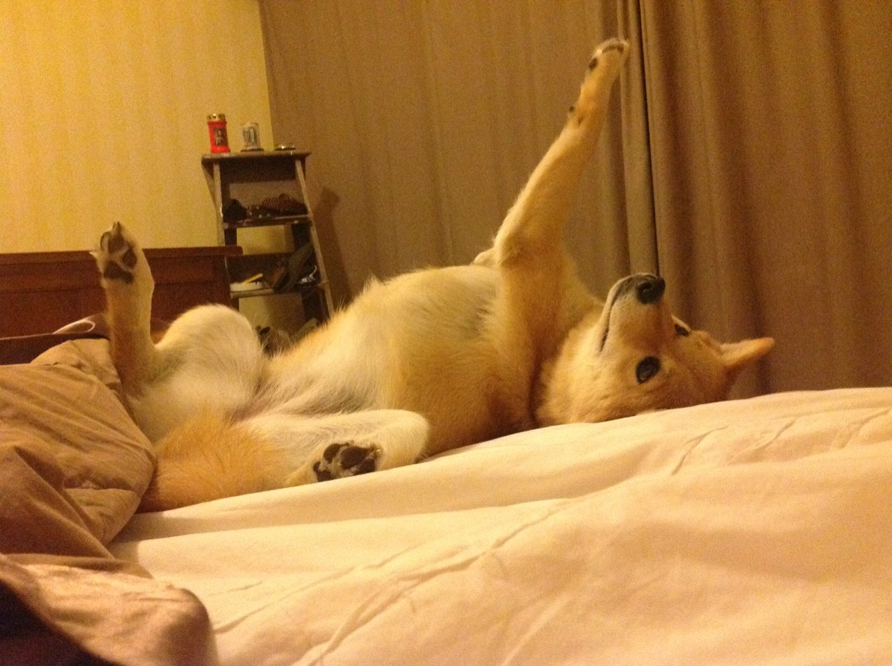 开云sport-世界排名争夺战之夜，伦纳德在哨响前完成双绝杀，改写联盟版图