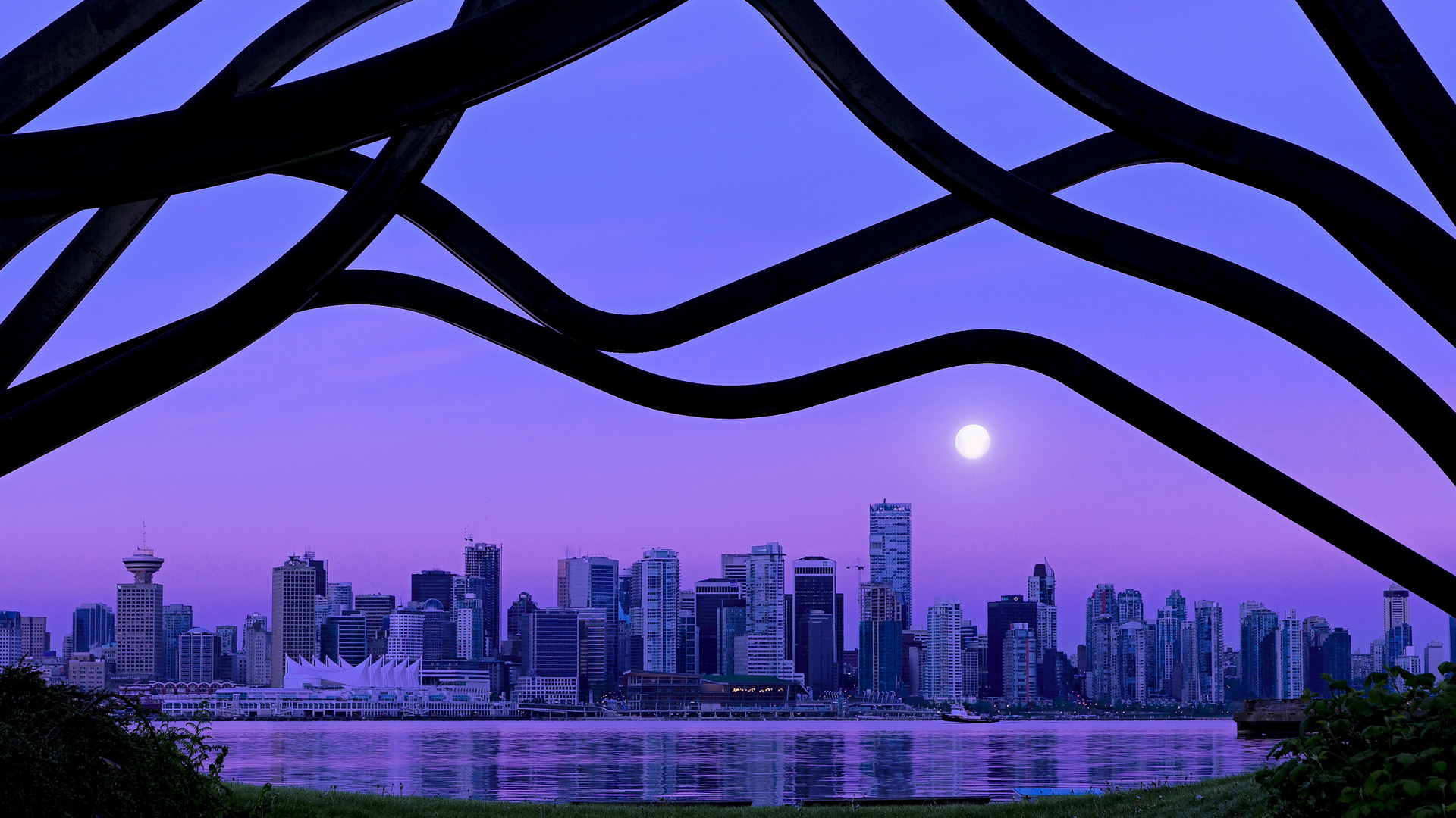 开云体育-魔改篮球宇宙，深圳队斩落掘金之夜，库里的幽灵笼罩赛场