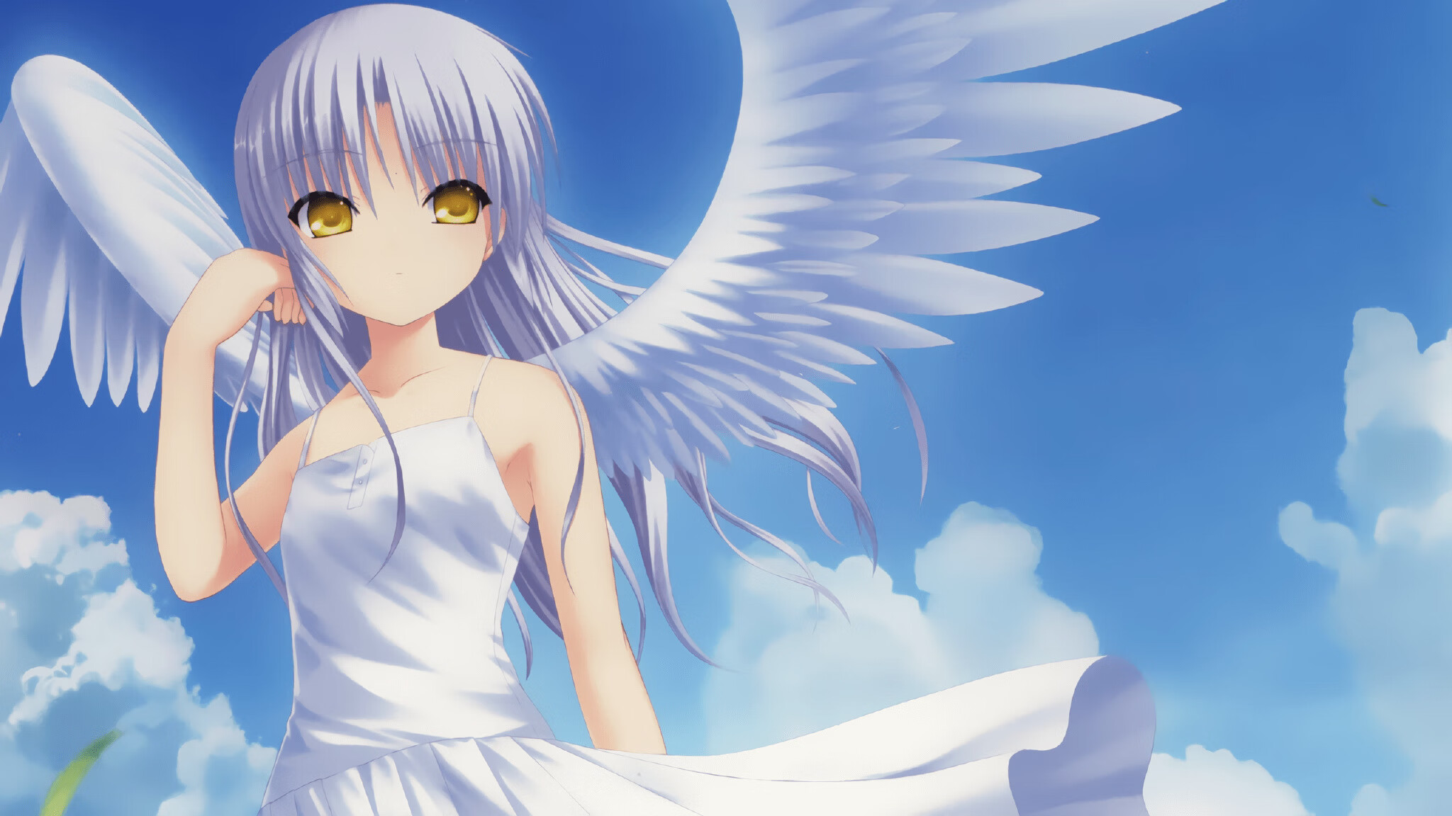 绿茵审判日,拜仁多特宿命对决,荷兰旋风席卷雷恩