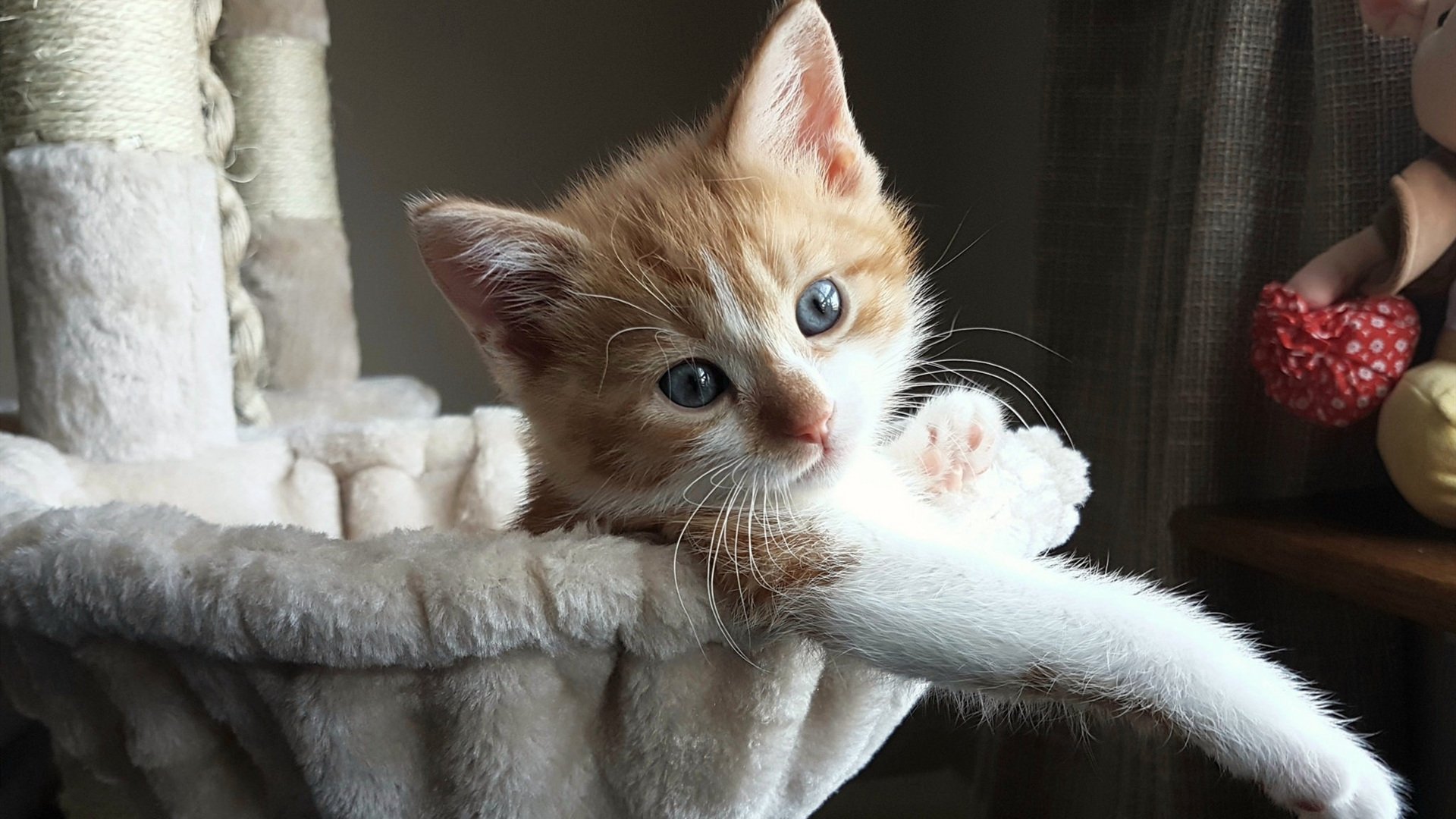 云中九万呎，久保建英的欧冠之夜与超越宿命的生长