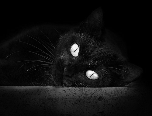 平行时空的硝烟,当奥斯梅恩的名字响彻国家德比之夜