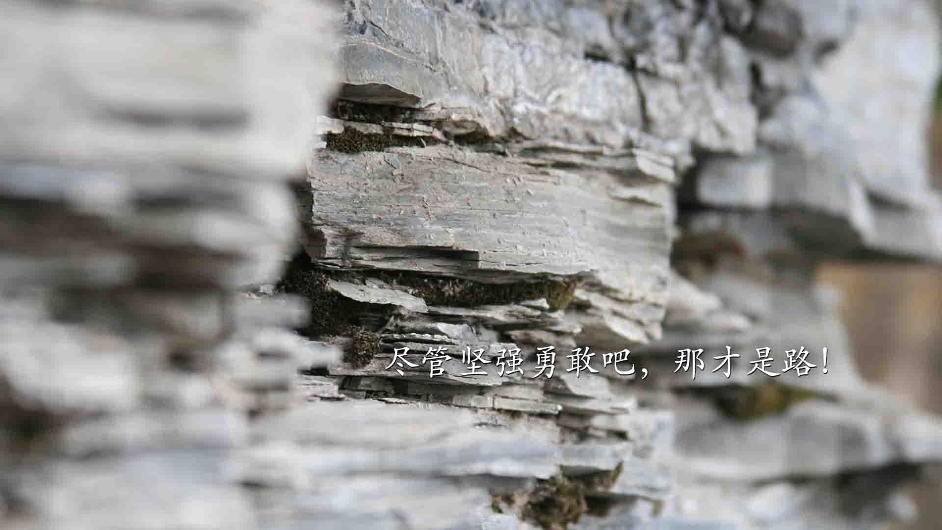 奥运周期关键战，湖人掀翻灰熊，备战奥运的焦点对决