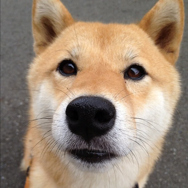 跨时空攻防战,霍勒迪如何成为广东与雷霆对决中的转换核心?