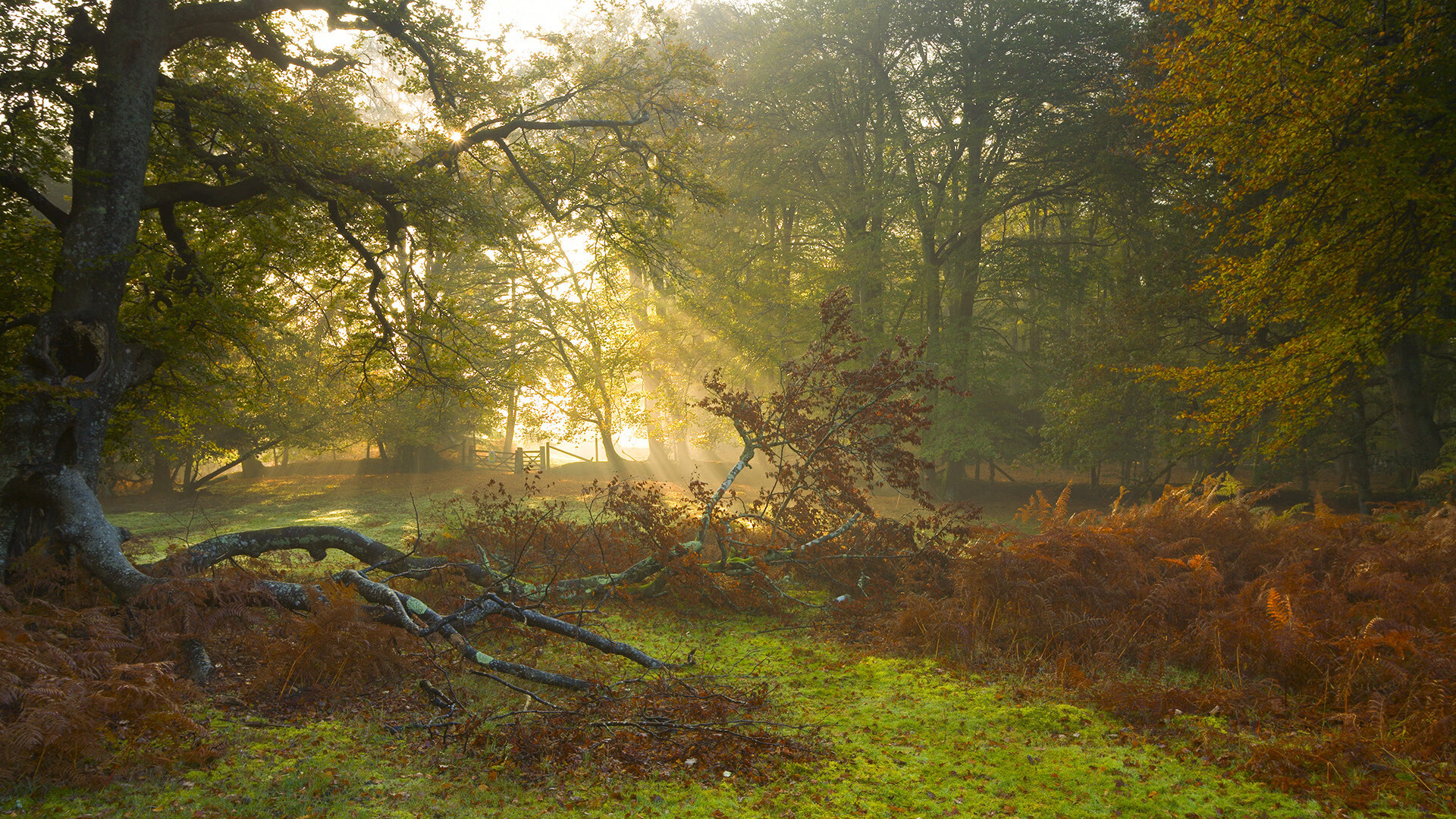 开云体育平台APP-交响乐与铁壁，当德国节奏大师以德里赫特为指挥棒，瓦解皇马银河战舰