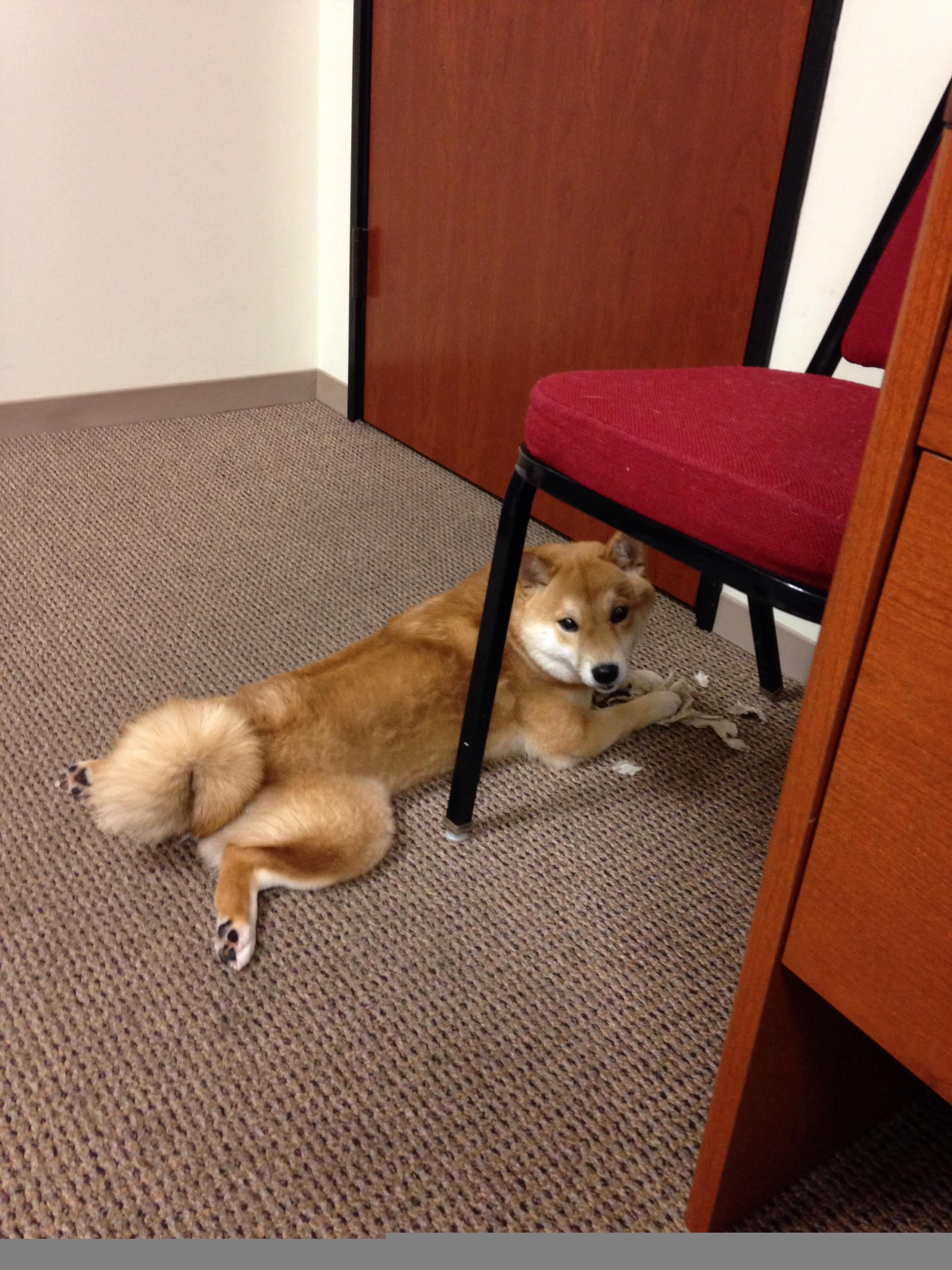 开云体育登录-钢铁洪流吞没篮网，德罗赞在深圳湾书写关键先生传奇