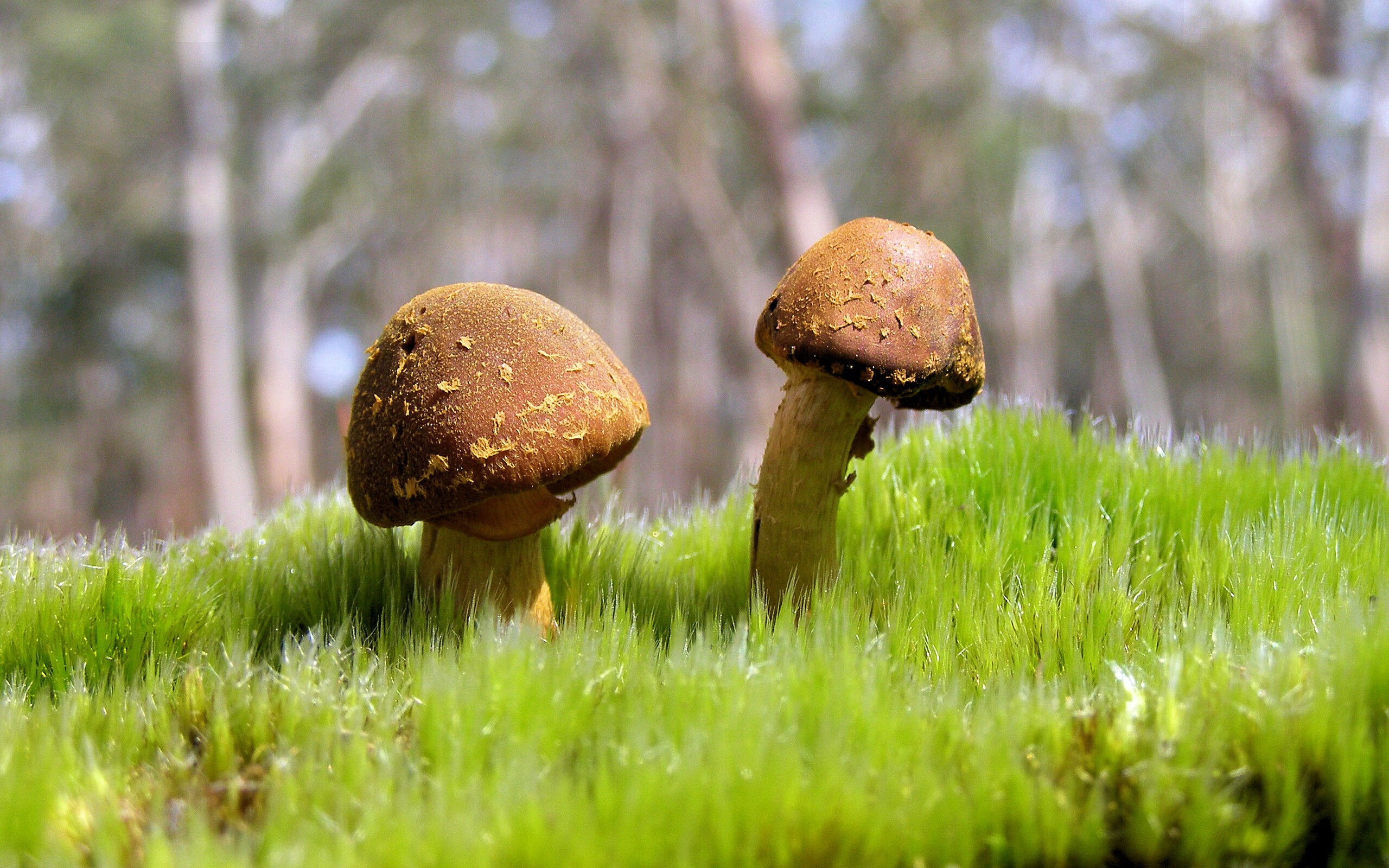 开云体育中国-末节12分锁死MVP！坎特用防守终结一个时代