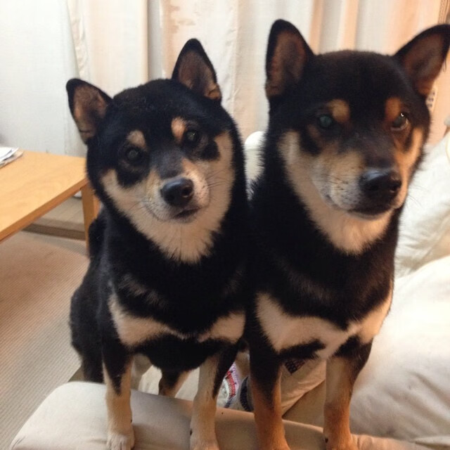 跨越半球的回声，亚特兰大一役提前锁定东决，书写新西兰式无悬念的胜利哲学