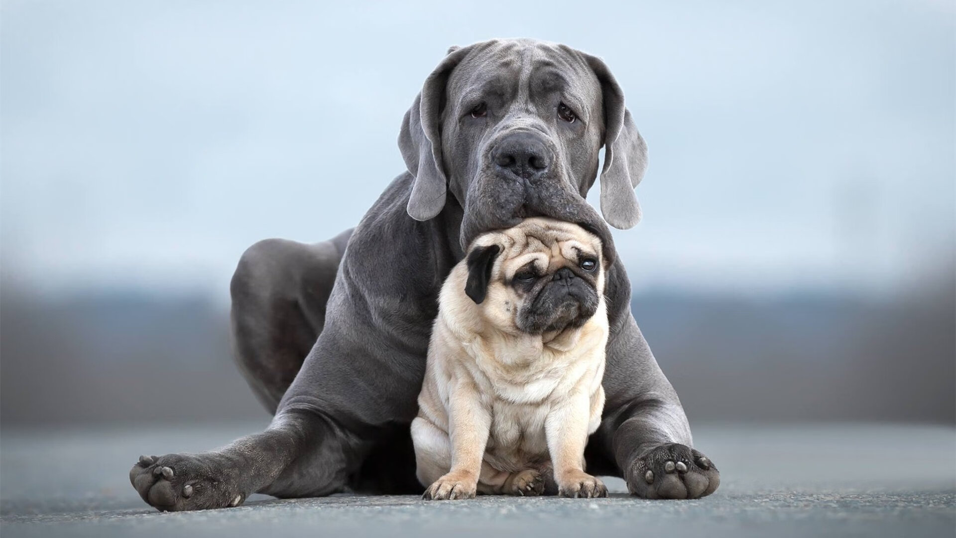 开云体育app-根据这个思路，我为您构思了以下内容