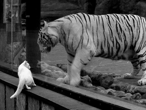 开云体育-唯一之战，皮克临危受命，加纳生死战逆转切尔西创历史