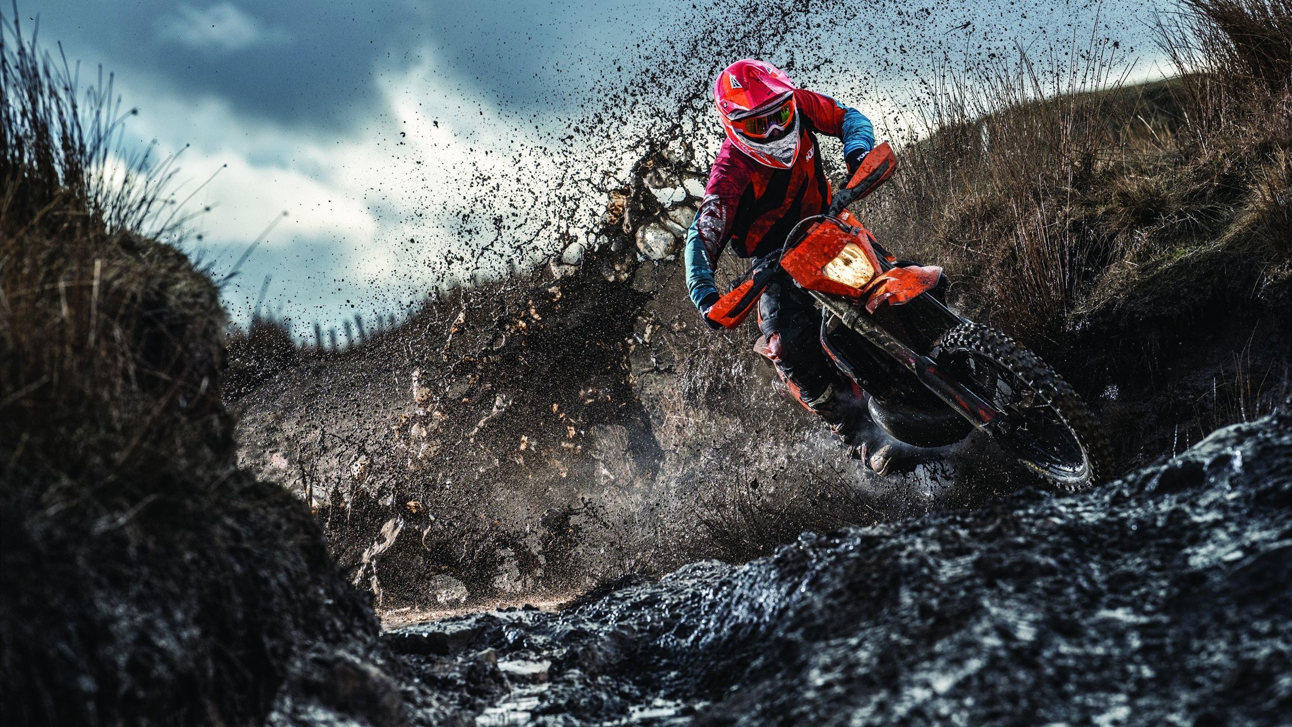 草根逆袭！突尼斯掀翻哥伦比亚，帕尔默一战封神