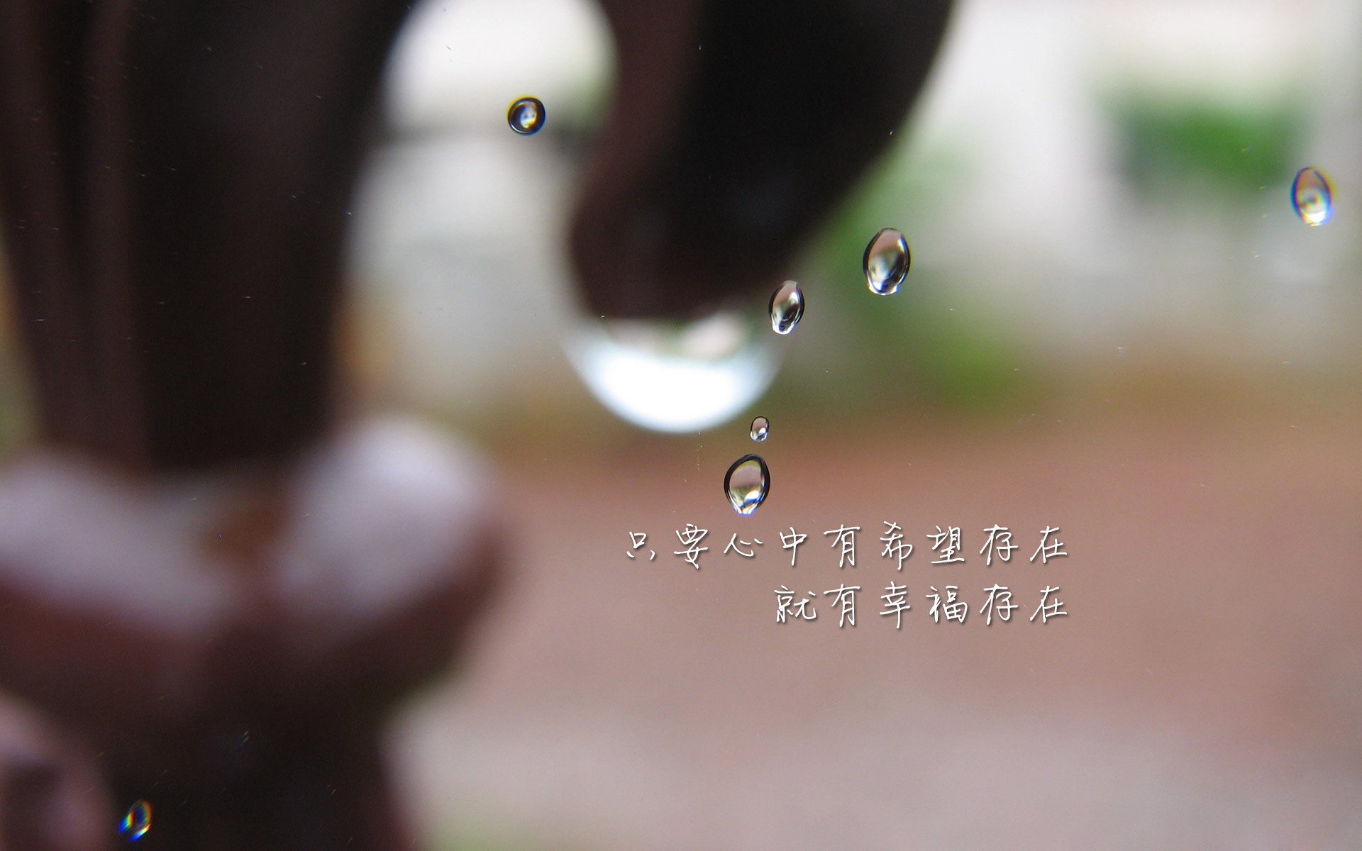开云体育平台APP-绝地重生，2026世界杯C组关键战，喀麦隆逆转匈牙利，卢卡库带队书写唯一传奇