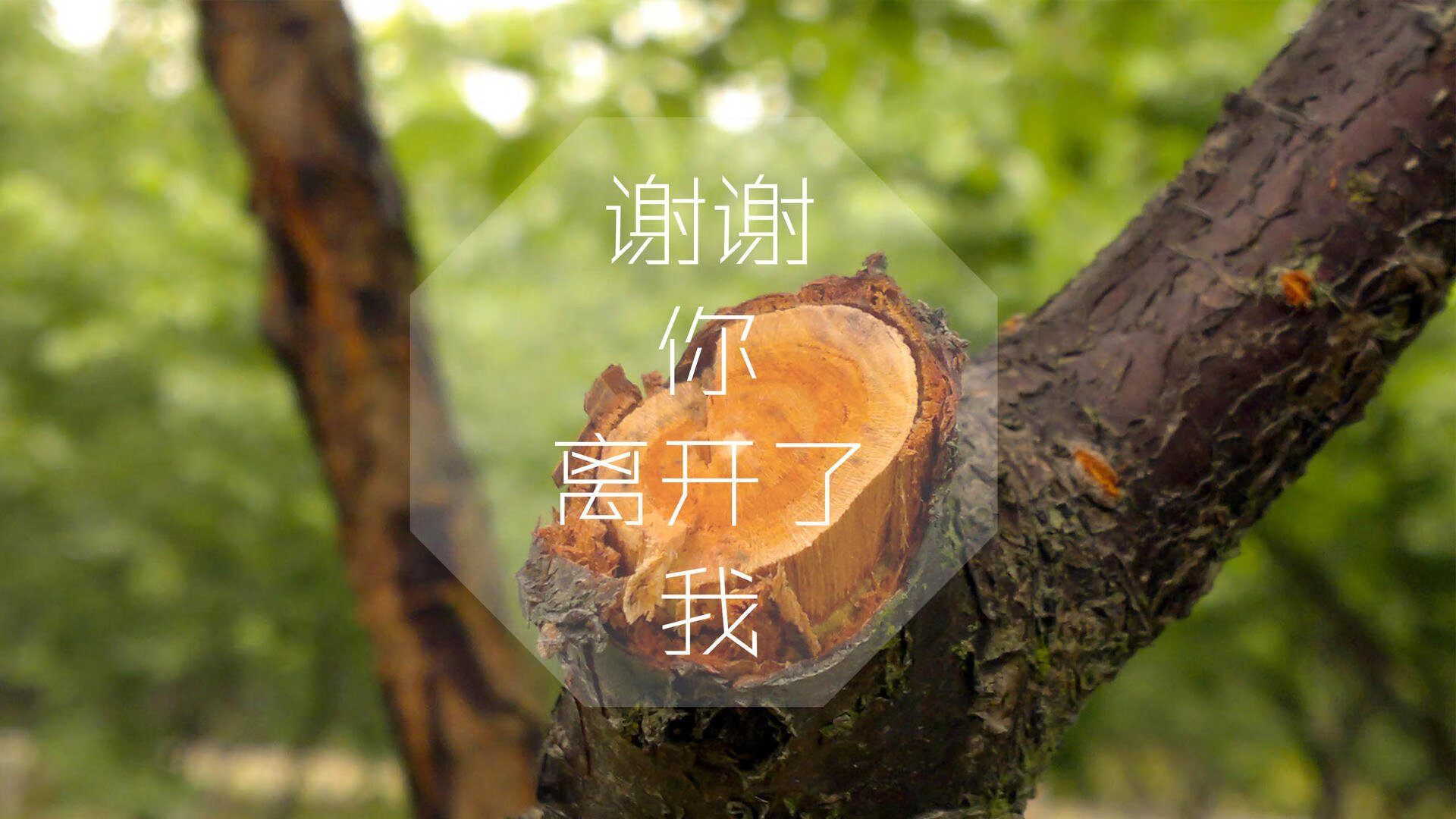 逆转之夜，拉什福德如神临世，巴西在绝境中撕碎斯洛伐克的钢铁防线